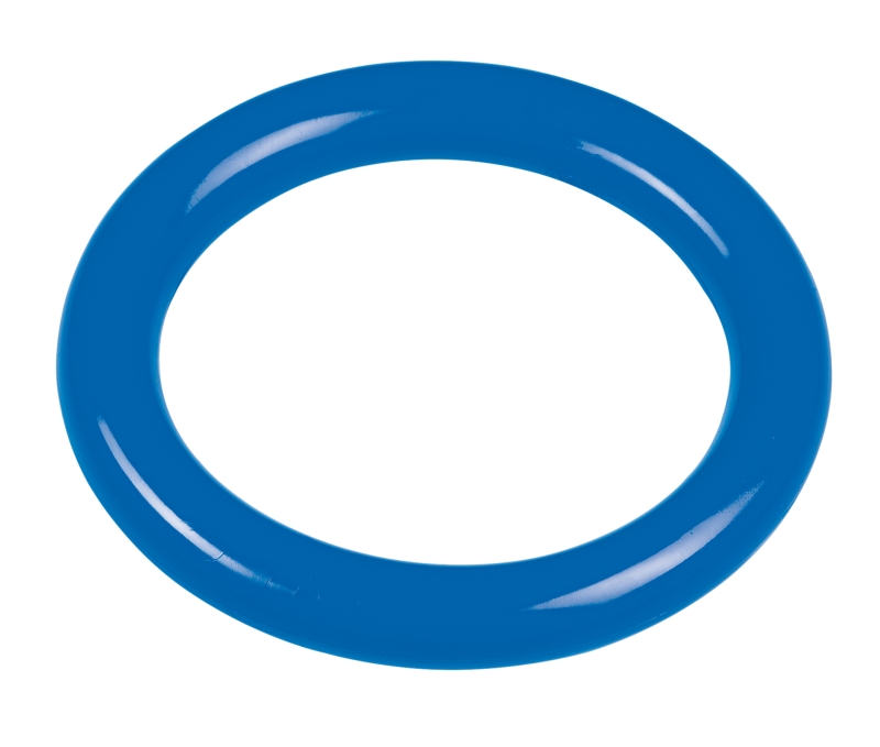 BASIC Diving Ring 