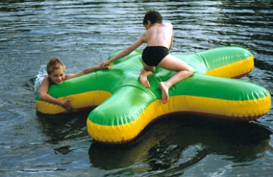 [AI2102] Mini zeester 