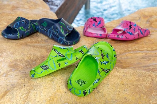 Ocean Dinos Slippers
