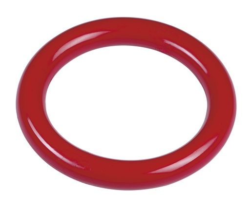 BASIC Diving Ring 