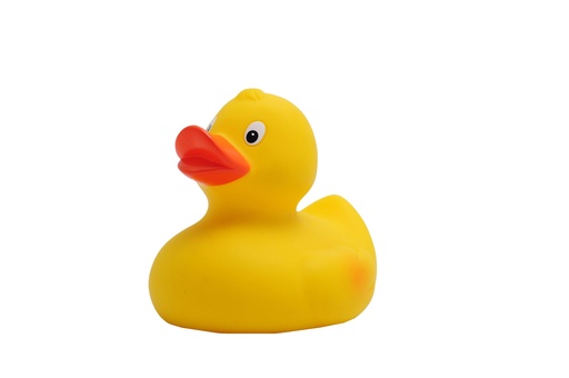 [BE9582-2-STK] Race duck