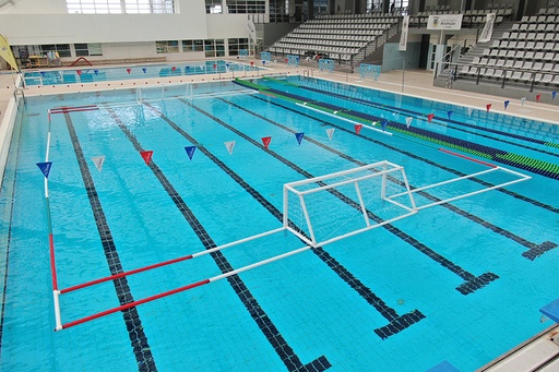 [GOP754.250C] 
Inflatable Portable Water Polo Field w/250cm Goals